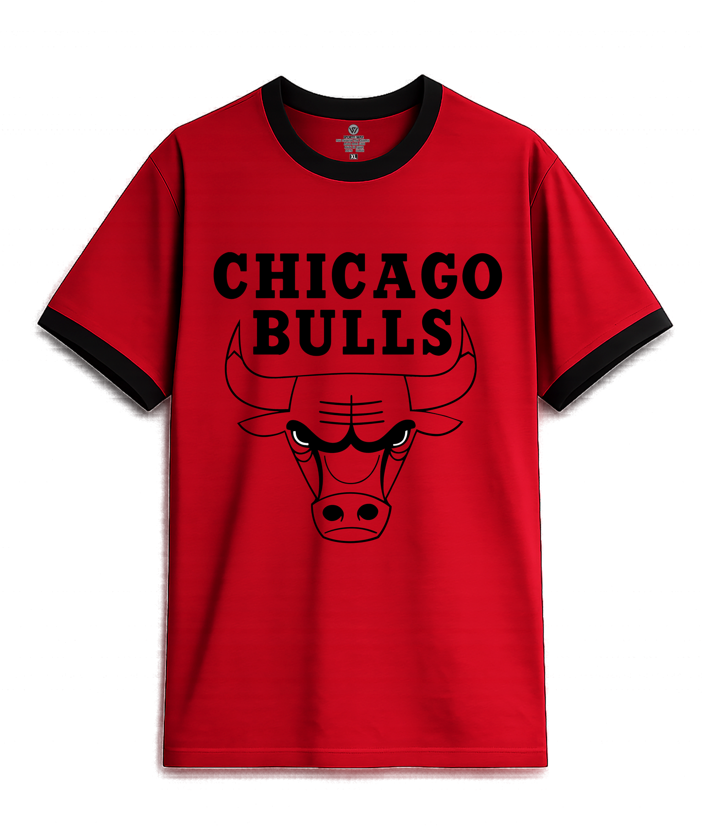 chicago bulls RINGER