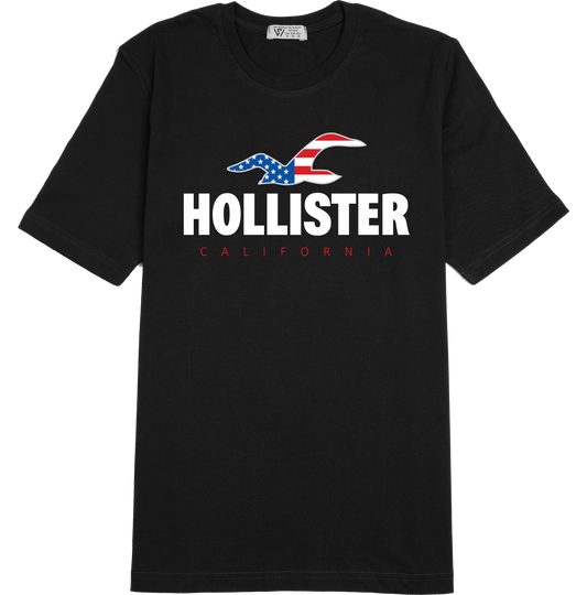 Hollister 2 Basic