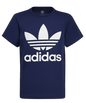 Adidas basic