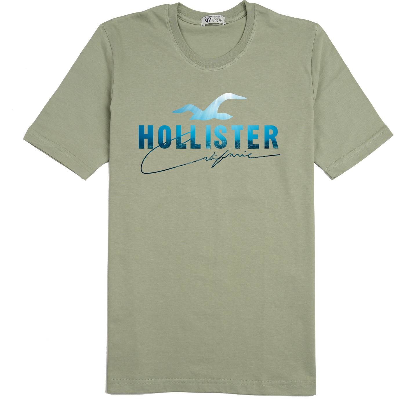 Hollister 2 Basic