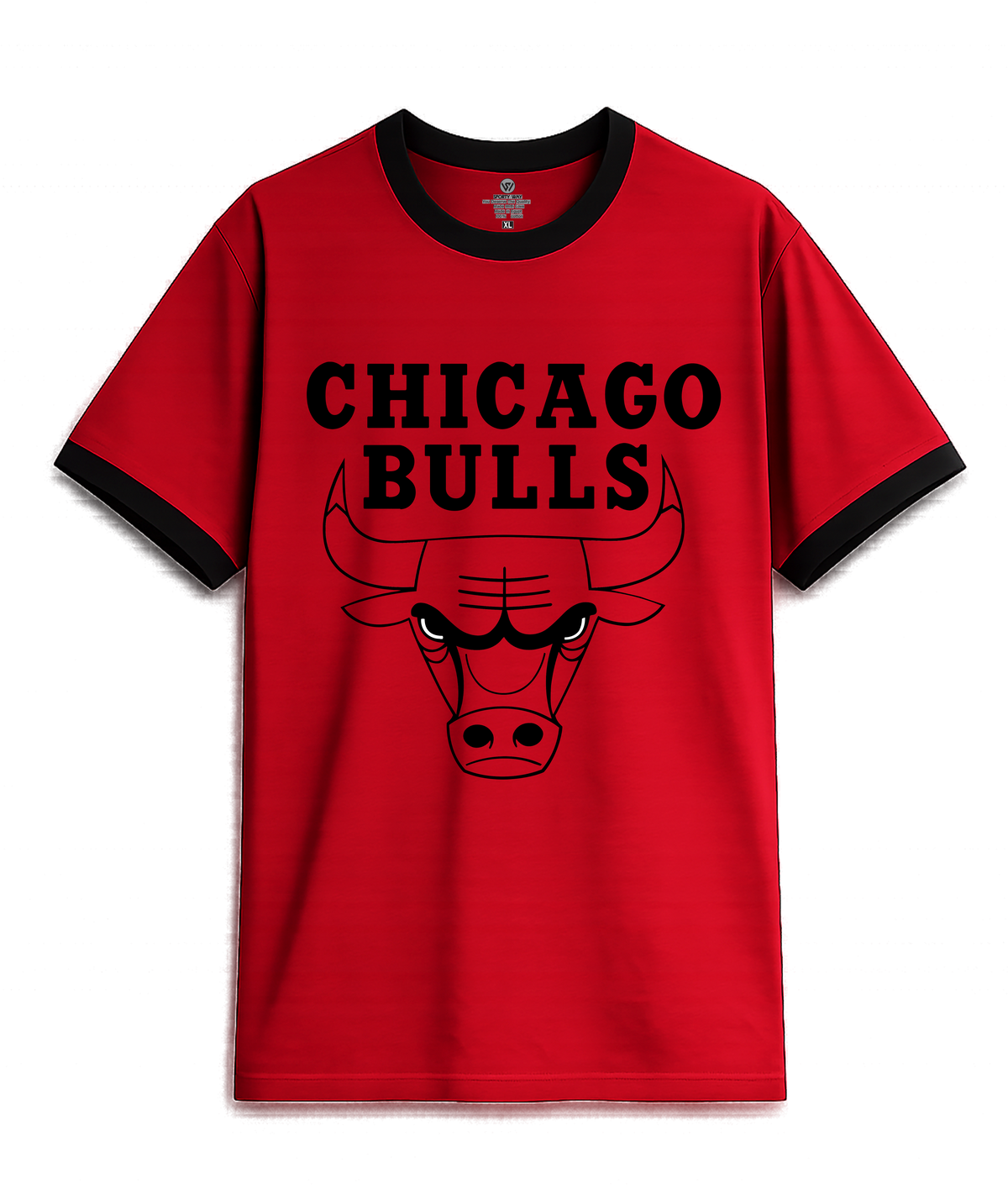 chicago bulls RINGER