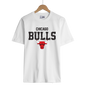 chicago bulls RINGER